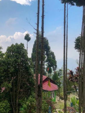 The AlderNest, Darjeeling